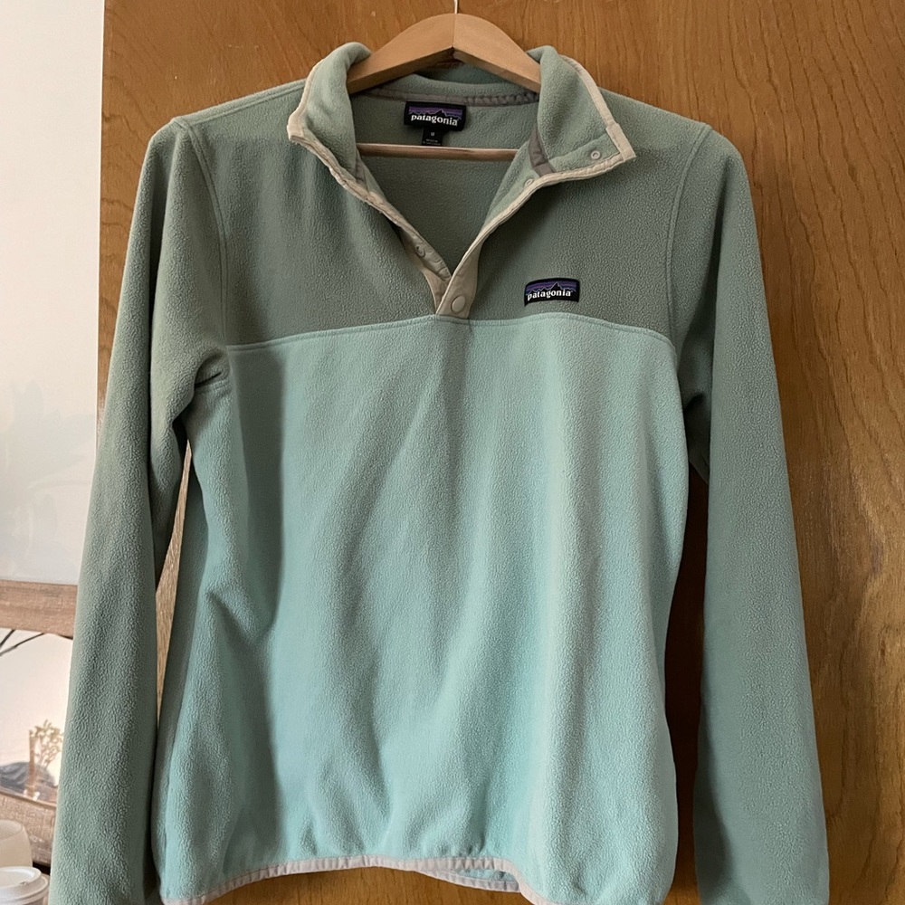 Patagonia Sweatshirt in Green